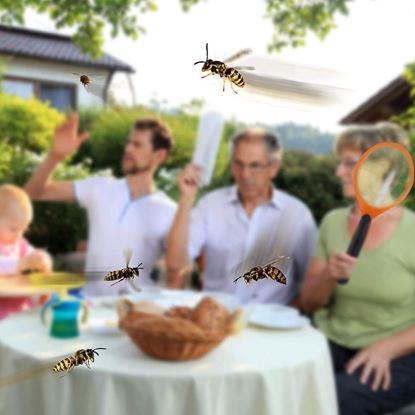 Kép Elektromos szúnyog és légycsapó 