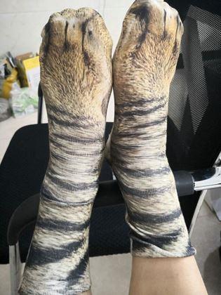 Kép valamiből Állatos zokni