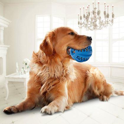 Kép valamiből Rágólabda kutyáknak a fogak tisztítására - nagy