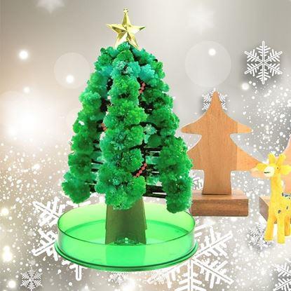 Kép Varázslatos karácsonyfa