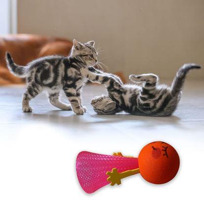 Kép Pattogó labda macskáknak