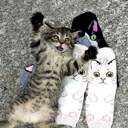 Kép valamiből Vidám cicás zokni – szürke