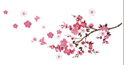 Kép valamiből Falmatrica - Sakura