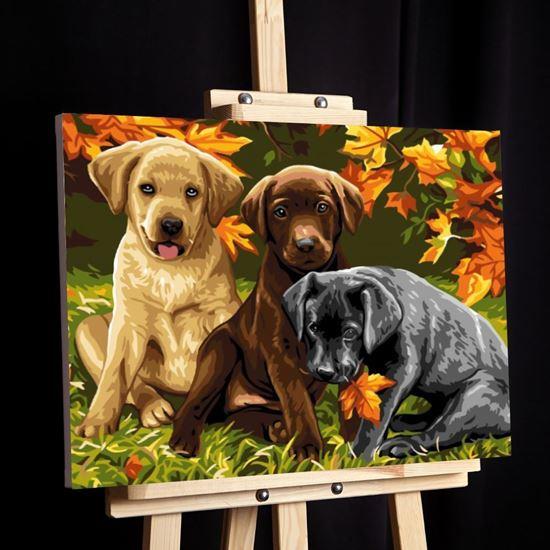 Kép valamiből Festés számok szerint - keretre feszített vászonnal - kutyusok