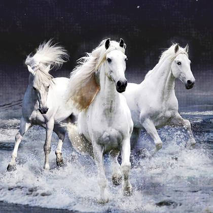 Kép valamiből Gyémántszemes kirakó basic – lovak