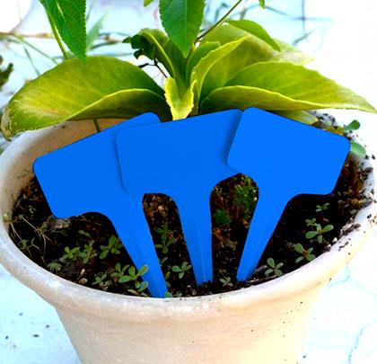 Kép valamiből Növényjelölő címke – kék