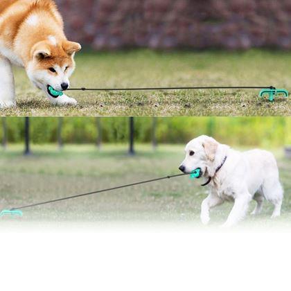 Kép valamiből Dentális játék kutyáknak