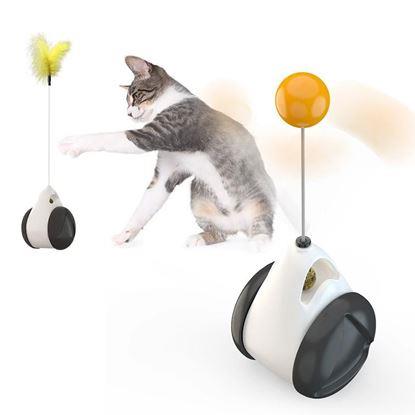 Kép Interaktív labdás játék macskáknak