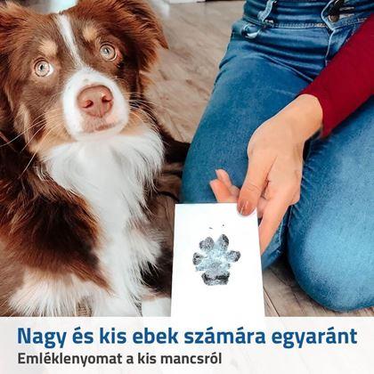 Kép valamiből Tappancs nyomdakészlet - nagy