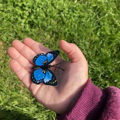 Kép valamiből Pillangós hajcsat 10 db - kék