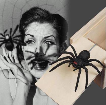 Kép valamiből Vicces doboz pókkal