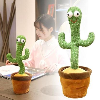 Kép Éneklő és táncoló kaktusz
