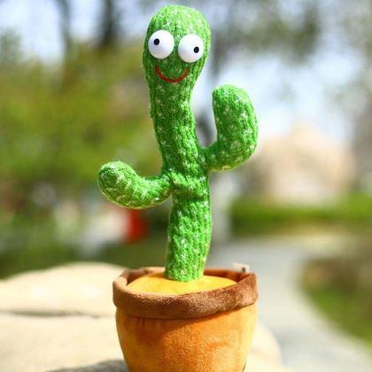 Kép valamiből Éneklő és táncoló kaktusz - vidám