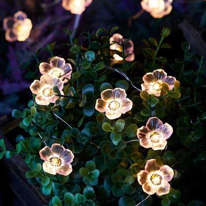 Kép Napelemes fénylánc - virágok
