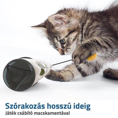 Kép Interaktív labdás játék macskáknak