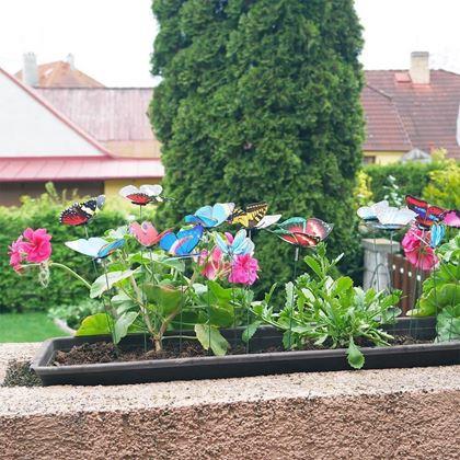 Kép valamiből Virágcserép dísz 24 db – lepke