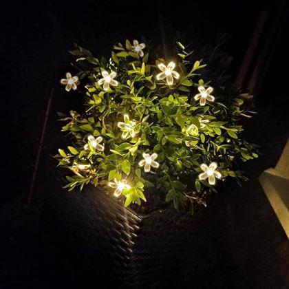 Kép valamiből Napelemes fénylánc - virágok