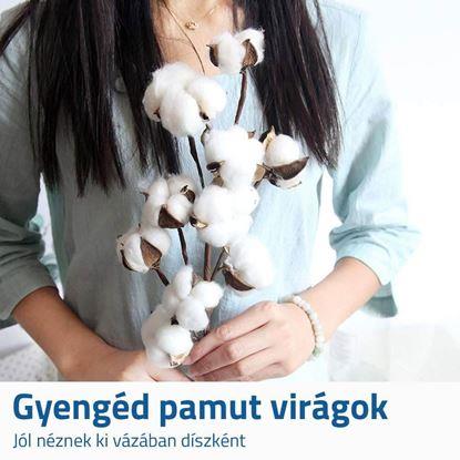 Kép Mesterséges deco ág pamut 