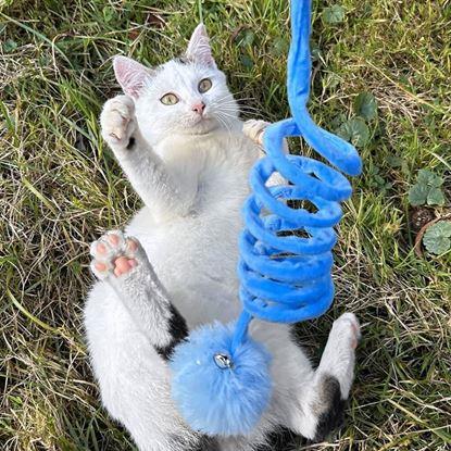 Kép Macskajáték rugóval és labdával