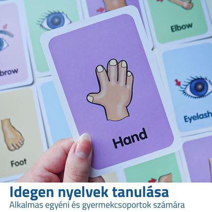 Kép valamiből Oktatási kártyák - a test részei