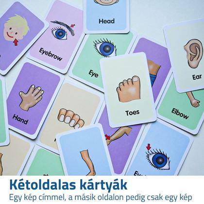 Kép valamiből Oktatási kártyák - a test részei