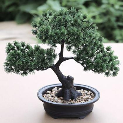 Kép valamiből Mesterséges bonsai cserépben