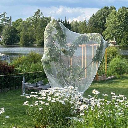 Kép Növényvédő háló