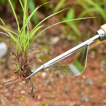 Kép valamiből Gyomkiszedő rugós vasszerkezettel és fa nyéllel