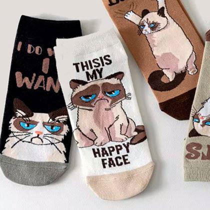 Kép valamiből Vidám zoknik dühös macska - fehér