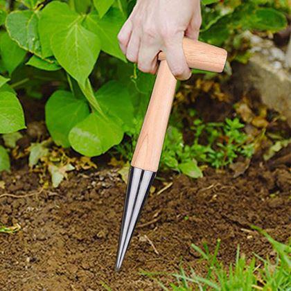 Kép valamiből Ültető pálca