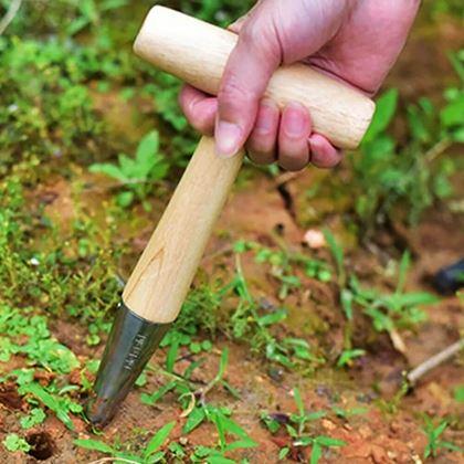 Kép valamiből Ültető pálca