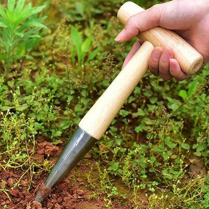 Kép Ültető pálca