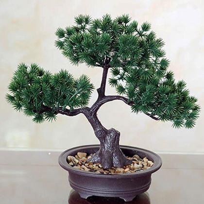 Kép valamiből Mesterséges bonsai cserépben