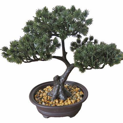Kép valamiből Mesterséges bonsai cserépben