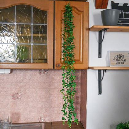 Kép valamiből Műnövény, függő, 124 cm