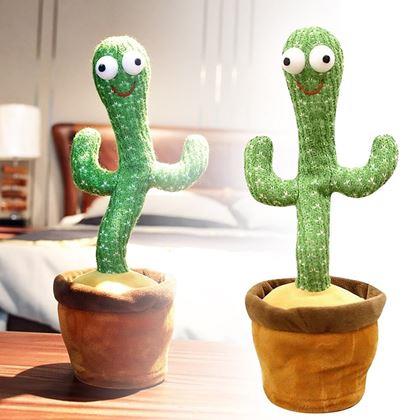 Kép valamiből Éneklő és táncoló kaktusz - vidám