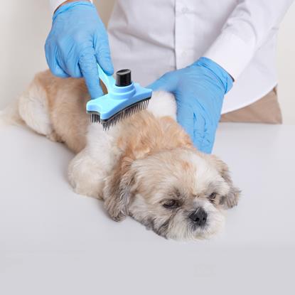 Kép Öntisztító szőrkefe vedléshez