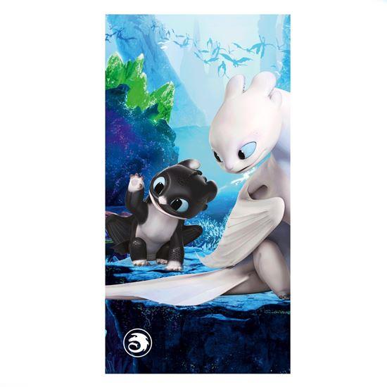 Kép valamiből Gyermek törölköző 70x140 cm - Így neveld a sárkányodat