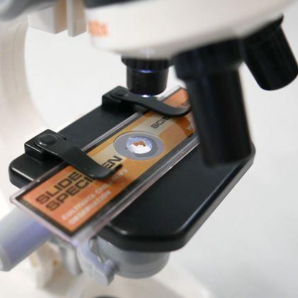 Kép valamiből Oktatási gyermekmikroszkóp készlettel és eszközökkel