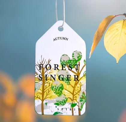 Kép valamiből Autóillatosító aroma - fenyő