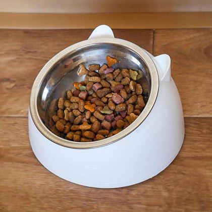 Kép valamiből 2 az 1-ben macskatál