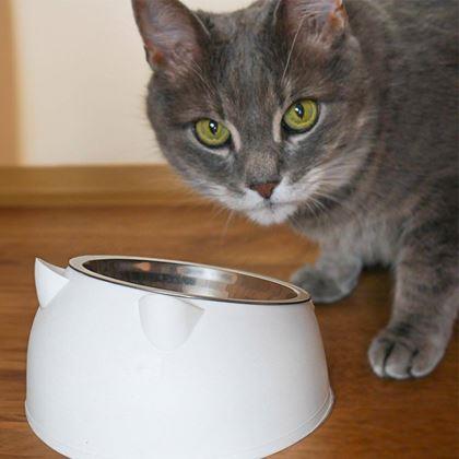 Kép valamiből 2 az 1-ben macskatál