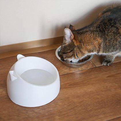 Kép valamiből 2 az 1-ben macskatál