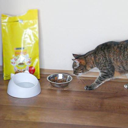 Kép valamiből 2 az 1-ben macskatál