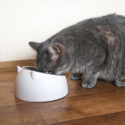 Kép 2 az 1-ben macskatál