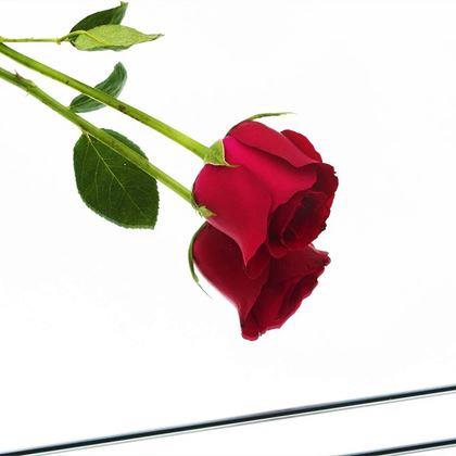 Kép valamiből Öntapadó tükör csempék 4 db