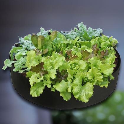 Kép valamiből Textil ágyás 140 l, 80 x 30 cm