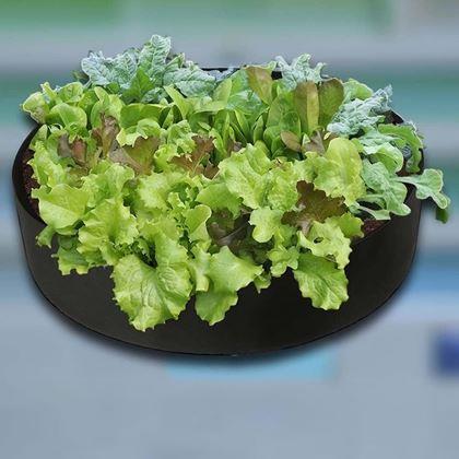 Kép valamiből Textil ágyás 140 l, 80 x 30 cm