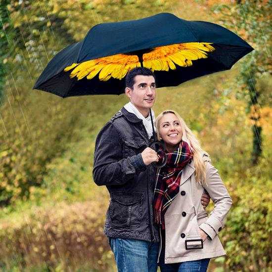 Kép valamiből Fordított esernyő  -  napraforgó