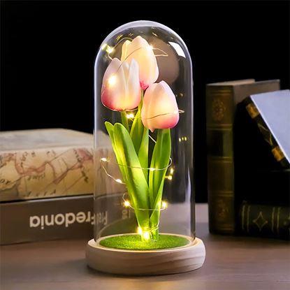 Kép Világító tulipánok üvegkupolában